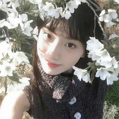 毒枭的末日